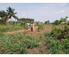 Parcelle sécurisé à 2 mn du GZID Benin