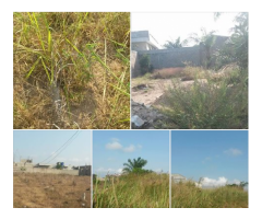 Parcelles sécurisées à Togbin Daho lotie et recasée 325m2 à 400m2