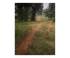 VENTE À COCODY RIVIERA M'BADON : UN TERRAIN EN BORDURE DE LA LAGUNE
