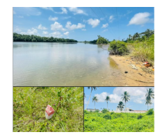 VENTE À GRAND-BASSAM VITRÉ 1 : UN TERRAIN PIEDS DANS L'EAU.