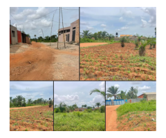 En VENTE À TOGBA (somè)plusieurs parcelles avec titre foncier juste
