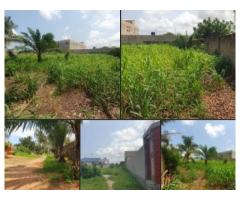 *A VENDRE : TERRAIN À ADIDOGOMÉ SAGBADO
