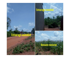 13 Parcelles à vendre dans la commune d'Abomey-Calavi à Kanzounkpa précisément.