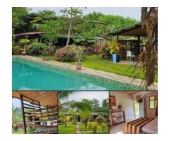 Un domaine de 12 hectares en vente à Agboville