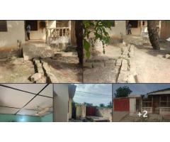 MAISON EN VENTE Maison en vente à KOHÉ 1/2 Lot bien proprrement clôturé