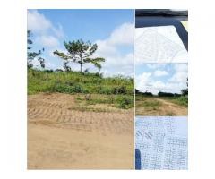 TERRAINS EN VENTES : BINGER-VILLE ROUTE DE M'BATTO BOUAKE.