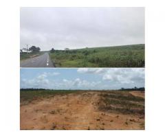 TERRAINS EN VENTES : BINGER-VILLE ROUTE DE M'BATTO BOUAKE.