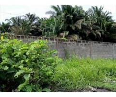 Parcelle clôturée et bornée à vendre à Cocotomey, à 300m du goudron